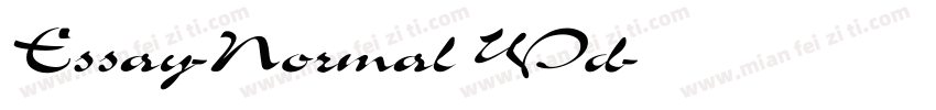 Essay-Normal Wd字体转换